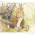 peter rabbit_16