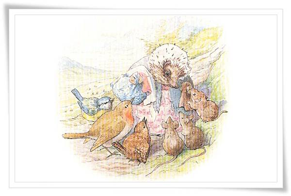 peter rabbit_26