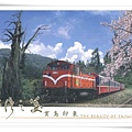台灣之美-阿里山登山火車