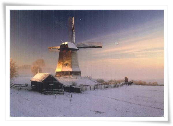 winter in Holland.jpg