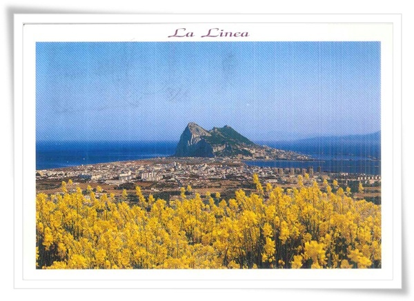 la linea.jpg la linea.jpg