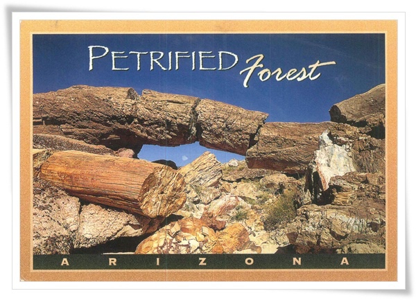 petrified forest.jpg petrified forest.jpg