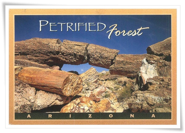 petrified forest.jpg