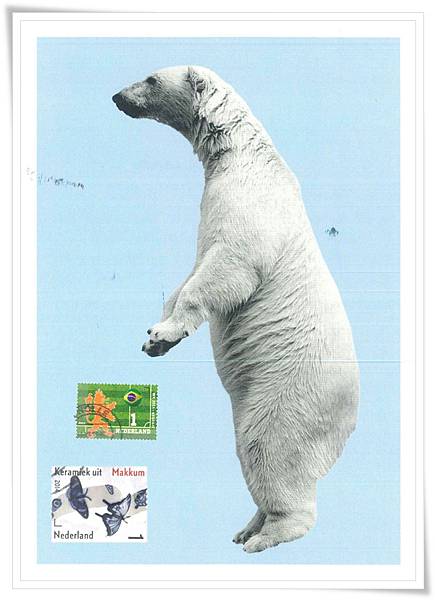 NL_polar bear1.jpg