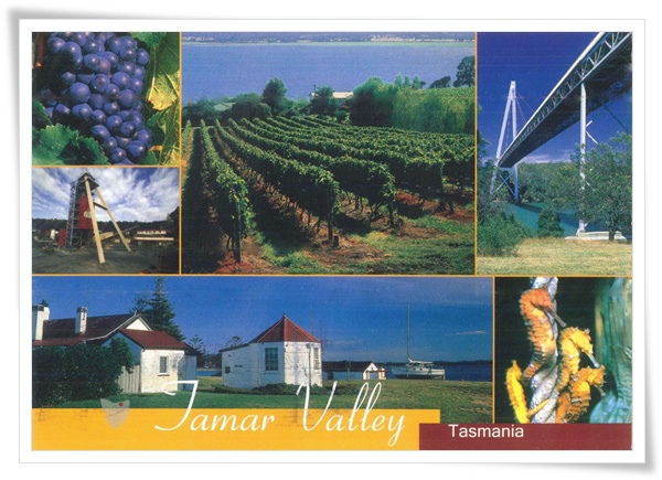 tamar valley.jpg tamar valley.jpg