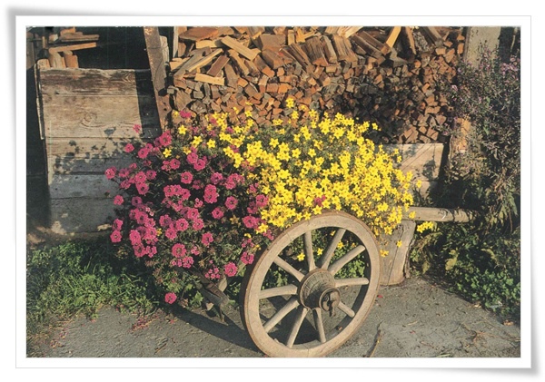 DE-flowers.jpg DE-flowers.jpg