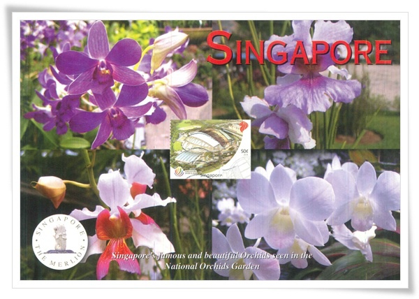 singapore orchids1.jpg