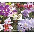singapore orchids1.jpg