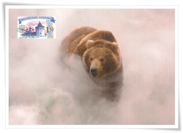 a brown bear in valley of the geysers_RU1.jpg