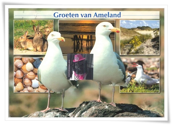 groeten van ameland1.jpg