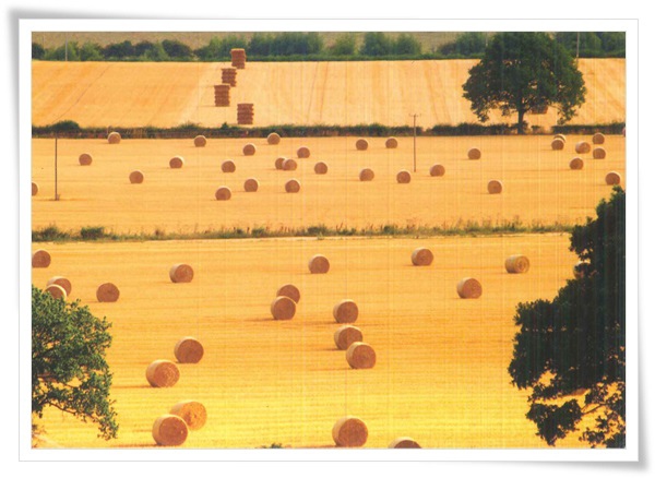 autumn farm.jpg autumn farm.jpg