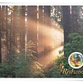 redwood national state parks1.jpg