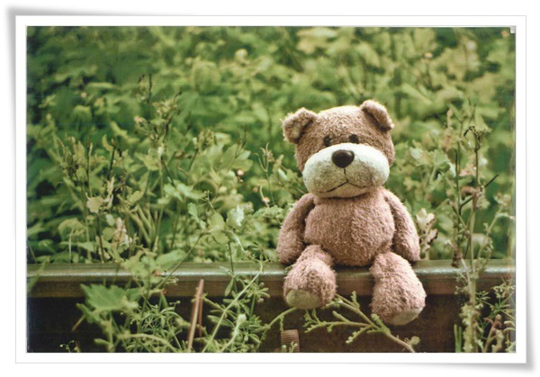 happy card_bear_RU.jpg happy card_bear_RU.jpg