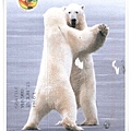 two polar bears1.jpg