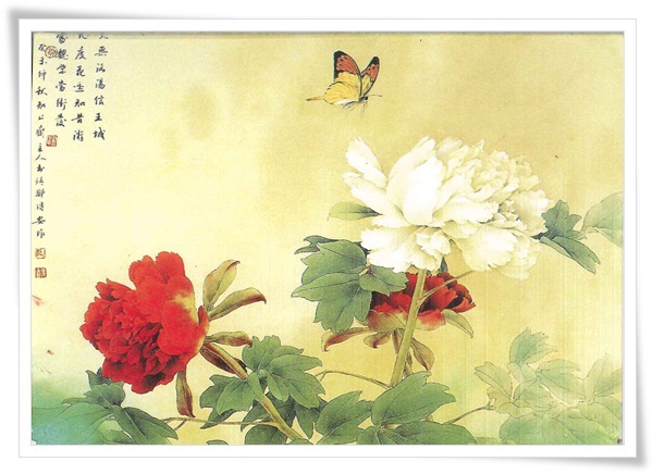 牡丹.jpg 牡丹.jpg