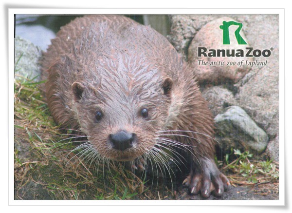 ranua zoo.jpg ranua zoo.jpg