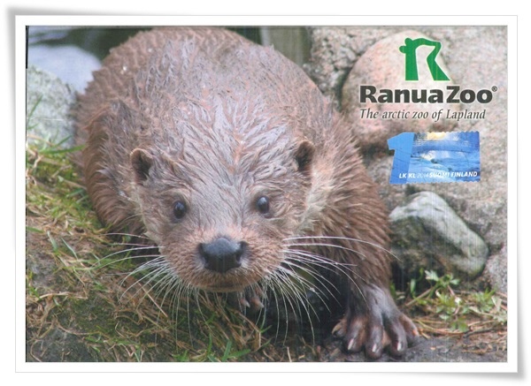 ranua zoo1.jpg