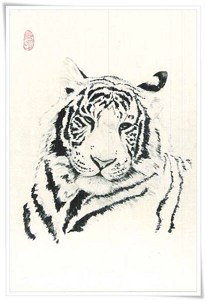white tiger.jpg white tiger.jpg