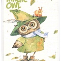 magic owl.jpg