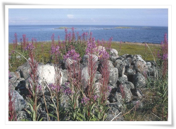 the arkhangelsk region.jpg the arkhangelsk region.jpg