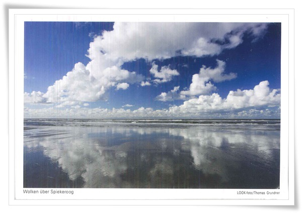 wadden sea_.jpg wadden sea_.jpg