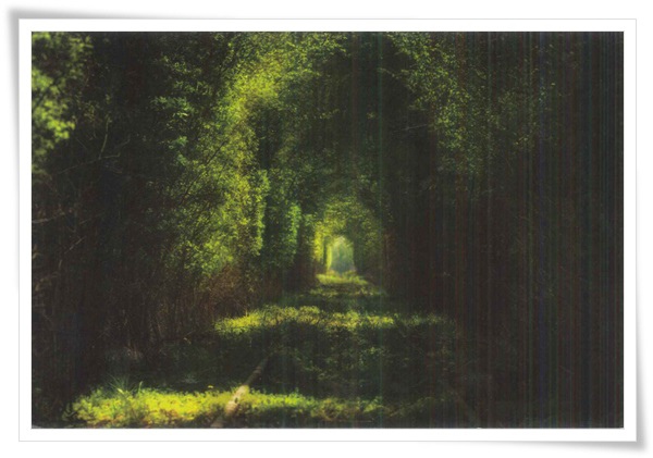 tunnel of love.jpg tunnel of love.jpg