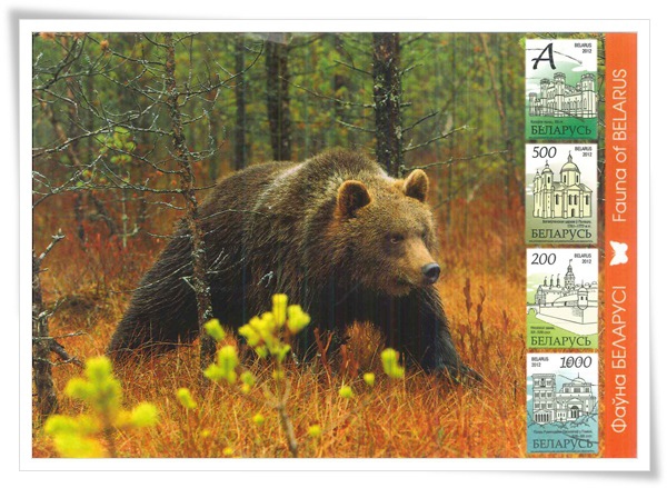 brown bear_fauna of BY1.jpg