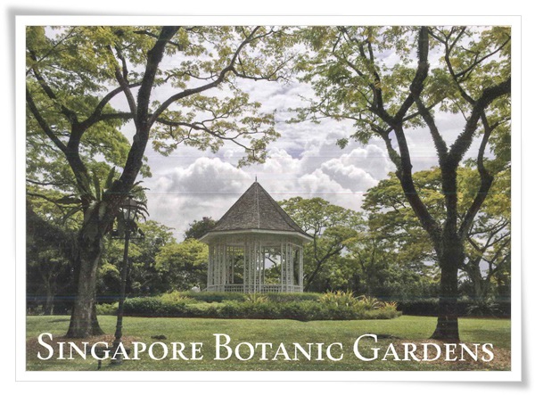 singapore botanic gardens.jpg singapore botanic gardens.jpg