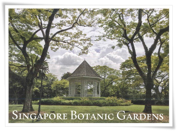 singapore botanic gardens.jpg