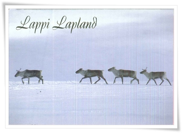 lappi lapland.jpg lappi lapland.jpg