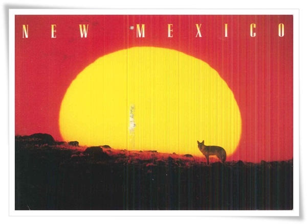 new mexico.jpg new mexico.jpg