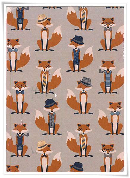 foxes.jpg foxes.jpg