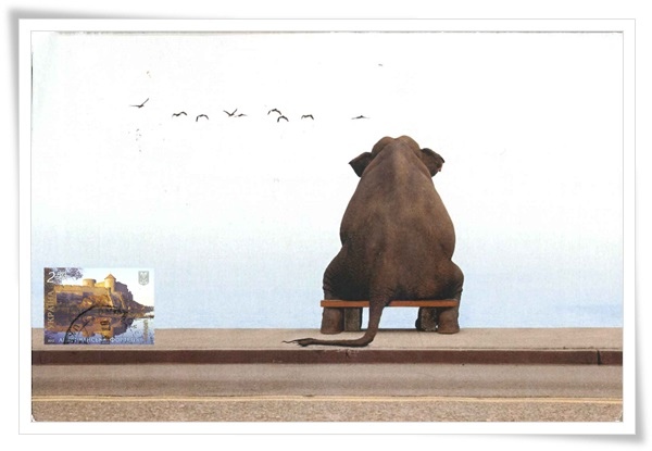 elephant on the chair1.jpg
