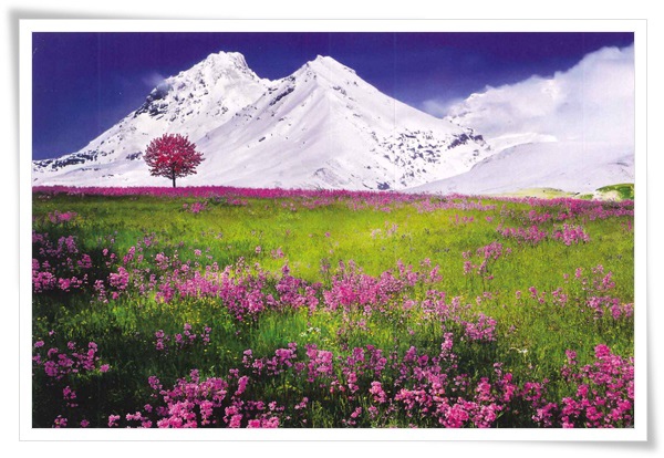 Georgia mountain.jpg Georgia mountain.jpg