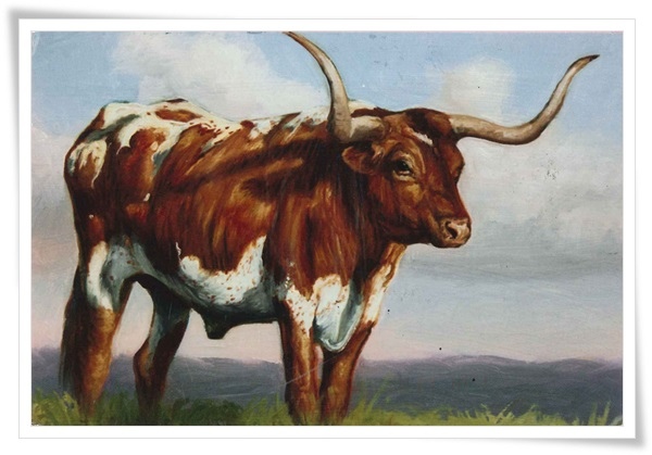 cow.jpg cow.jpg