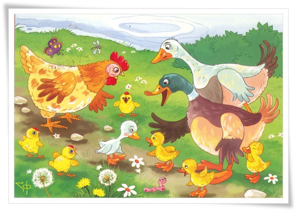 the ugly duckling.jpg the ugly duckling.jpg