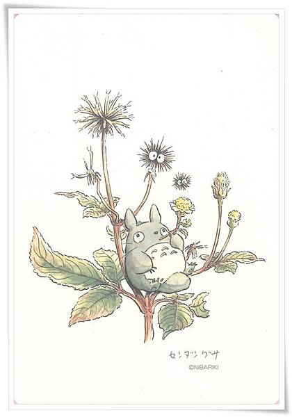 totoro fund.jpg totoro fund.jpg