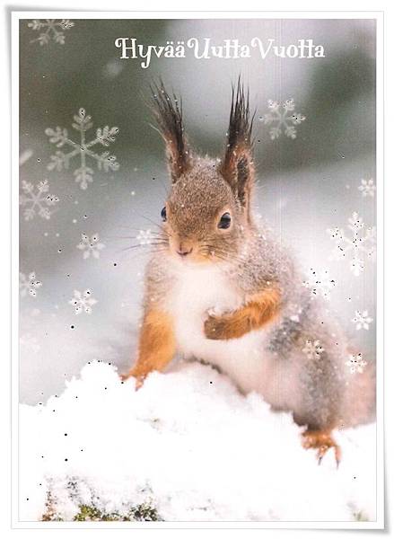 squrrel.jpg squrrel.jpg