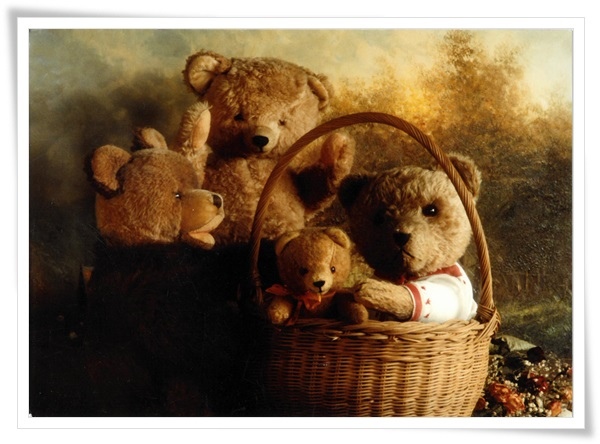 bear_photo.jpg bear_photo.jpg