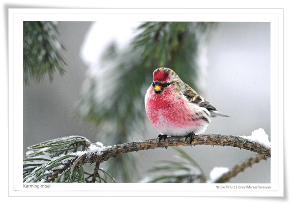 nature picture.jpg nature picture.jpg