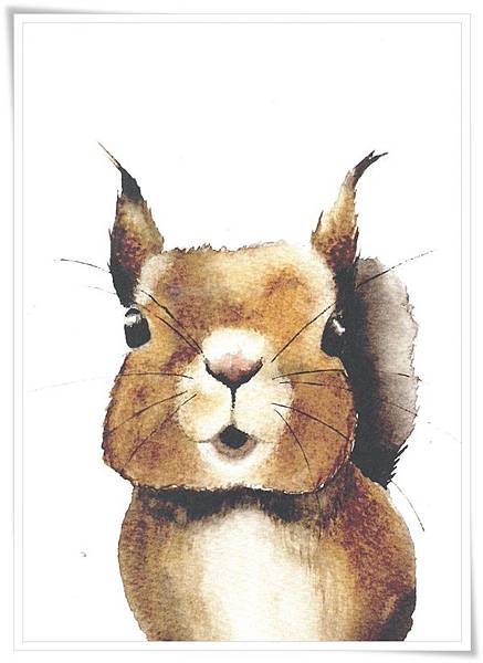 squrrel.jpg squrrel.jpg