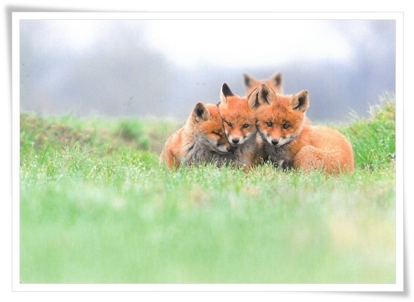 together is much warmer.jpg together is much warmer.jpg