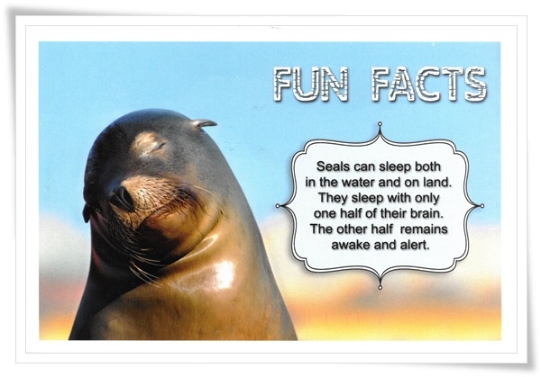 fun facts.jpg fun facts.jpg