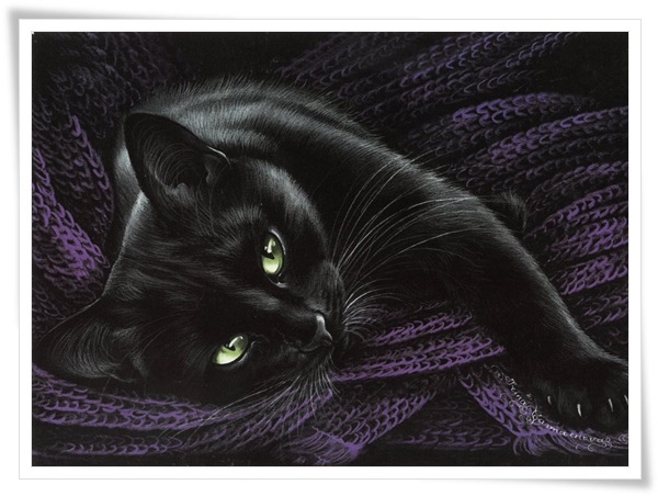 black cat.jpg black cat.jpg