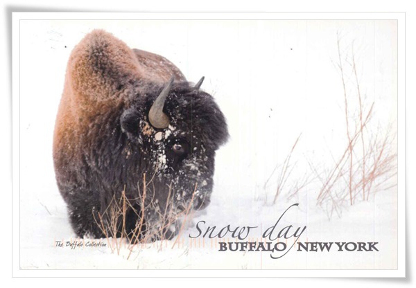 buffalo new york.jpg buffalo new york.jpg