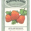 strawberry