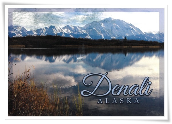 denali denali