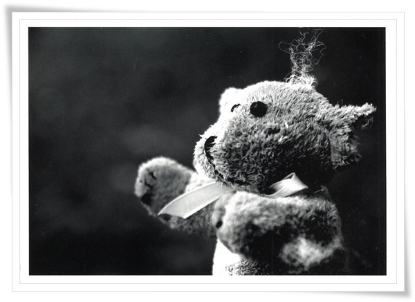 teddy bw.jpg teddy bw.jpg