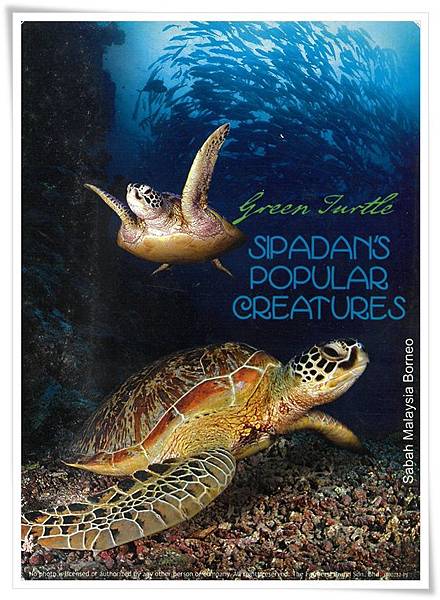sabah malaysia borneo.jpg sabah malaysia borneo.jpg