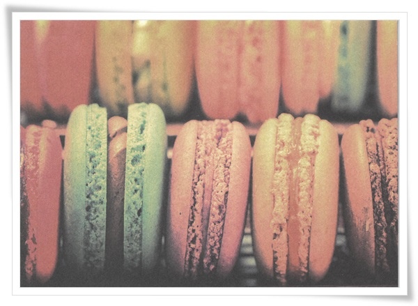 macaron macaron